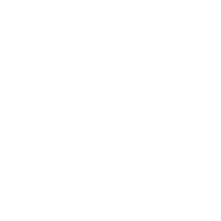 usp-icon